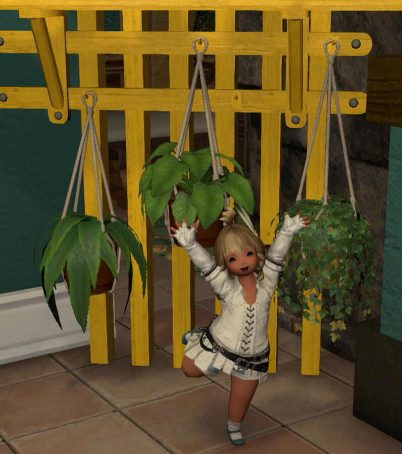 Yellow brightens up my plants!